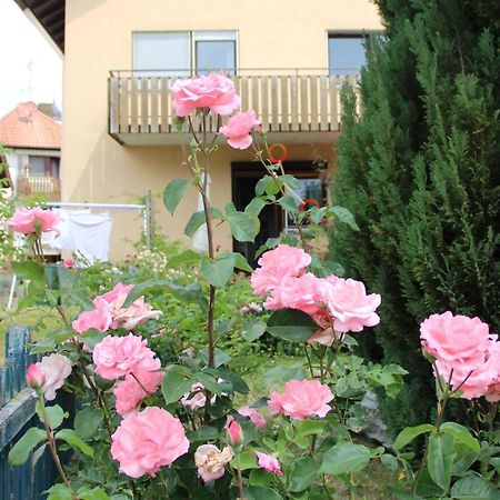 Vronis Ferienwohnungen Muhlingen Zewnętrze zdjęcie